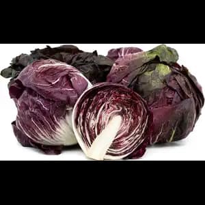 Radicchio