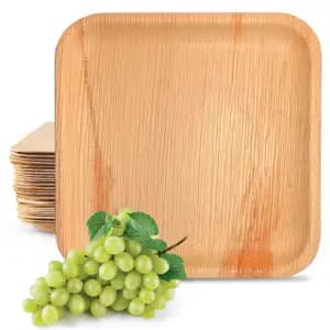 Palm Leaf Square Plates Tableware - BioPatra