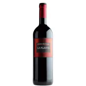 La Planta Ribera Del Duero