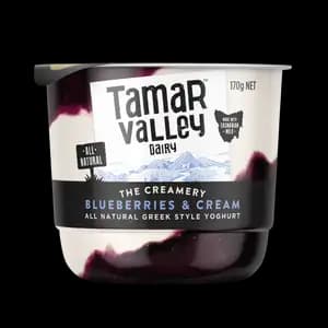 Blueberries & Cream Greek Yogurt - Tamar Valley