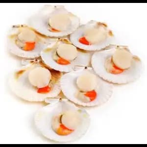 Japanese Half-Shell Scallop - Royal Fine Foods