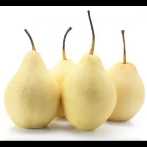 Yellow Pear