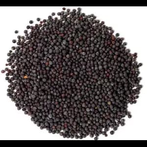 Mustard Black Seeds Cup