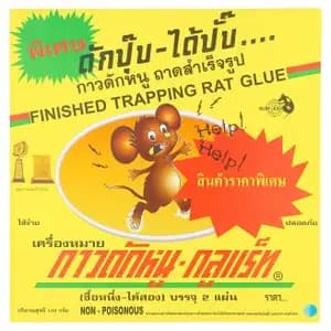 Glue-Rat Finished Trapping Rat Glue