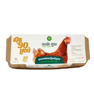 Daily Fresh Eggs Size M - Soma Farm