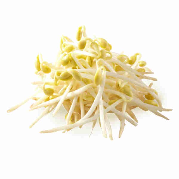 Organic Yellow Bean Sprouts