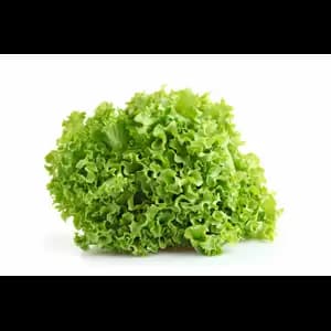 Batavia Salad