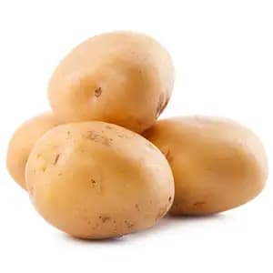Potato