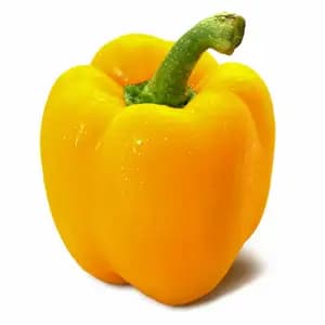 Sweet Bell Pepper Yellow