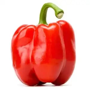 Sweet Bell Pepper Red