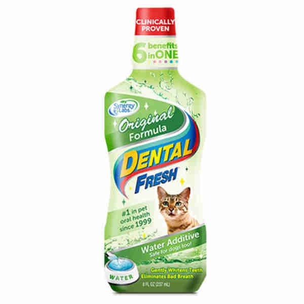 Cat Teeth Cleaning Dental Original Formula