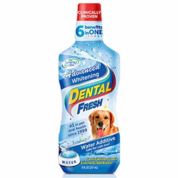 Dog Teeth Cleaning Dental Fresh Whitening