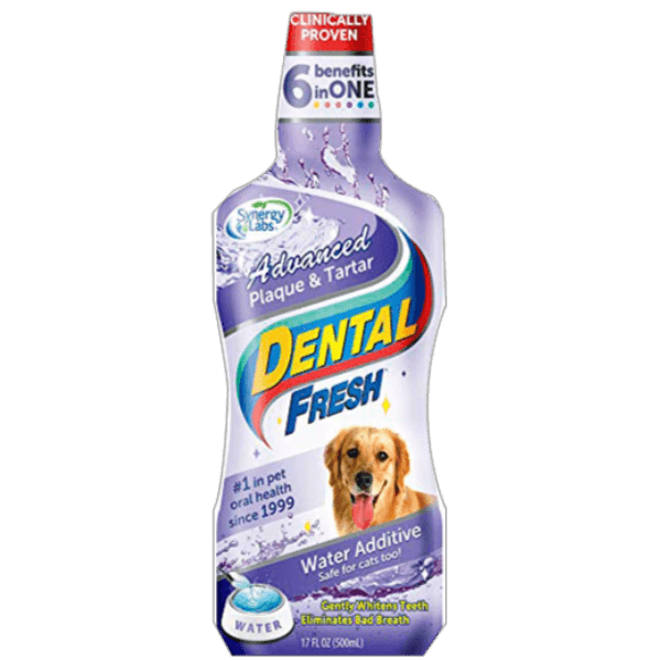 Dog Teeth Cleaning Dental Fresh Tartare