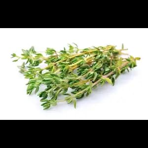 Fresh Thyme
