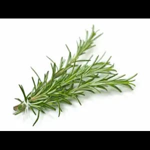 Fresh Rosemary