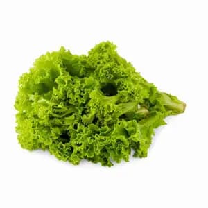 Khmer Lettuce