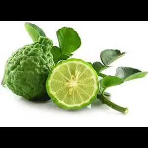 Kaffir Lime