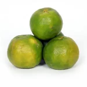 Orange Pursat