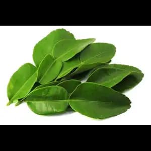 Kaffir Lime Leaf