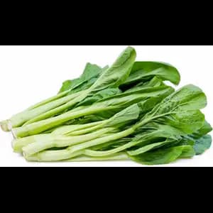 Choy Sum