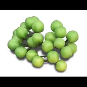 Cherry Egg Plant