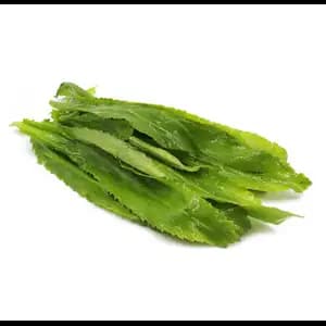 Long Mint Leaf