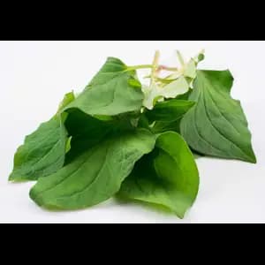 Leaf Herbs