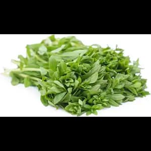 Rice Pady Herbs