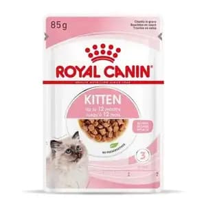Kitten Up to 12month, Chunks in Gravy Pouch - Royal Canin