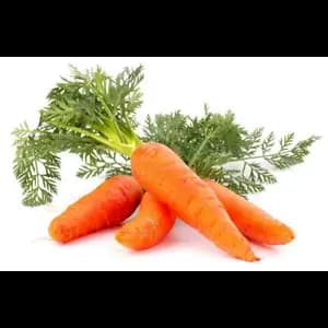 Mondolkiri Carrot - Organic