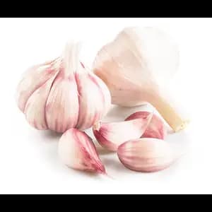 Mondolkiri Garlic - Organic
