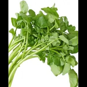 Watercress