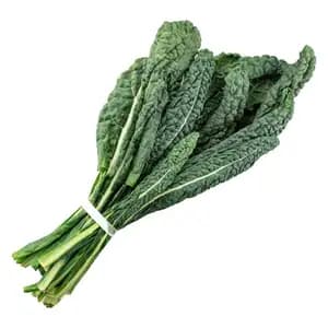 GAP Lacinato Kale - City Of Sprouts