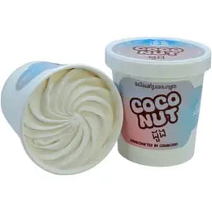 Coconut Sorbet Pint - Lyly Cream