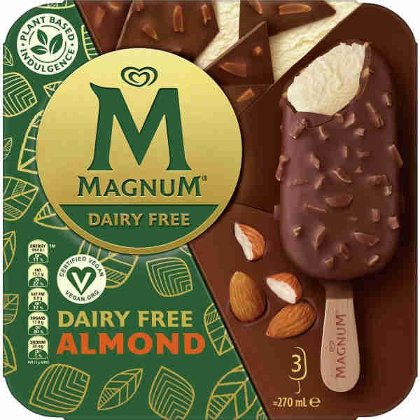 Dairy Free Almond Ice Cream
