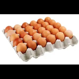 Fresh Eggs with Paper Pulp Tray Size L