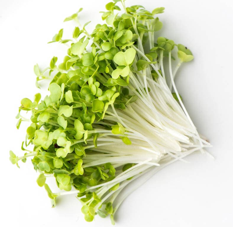 Organic Mustard Sprouts
