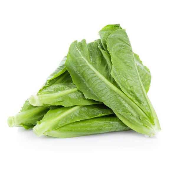 GAP Romain Lettuce