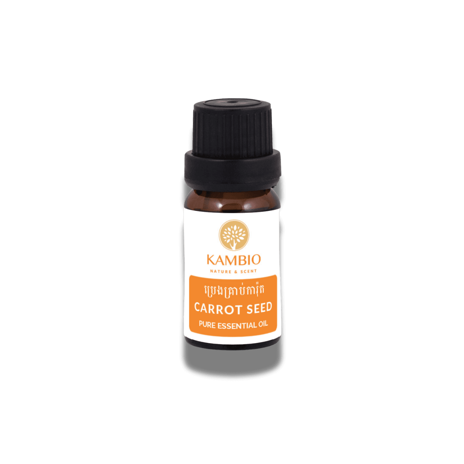 Carrot Seed Essential Oil