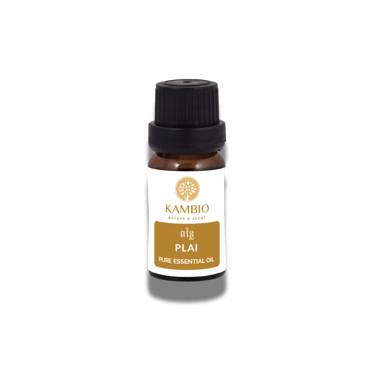 Plai Essential Oil