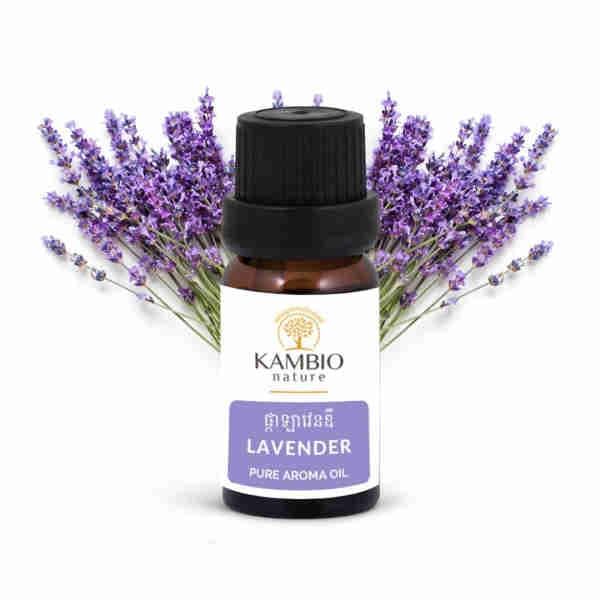 Asian Lavender Aroma Oil
