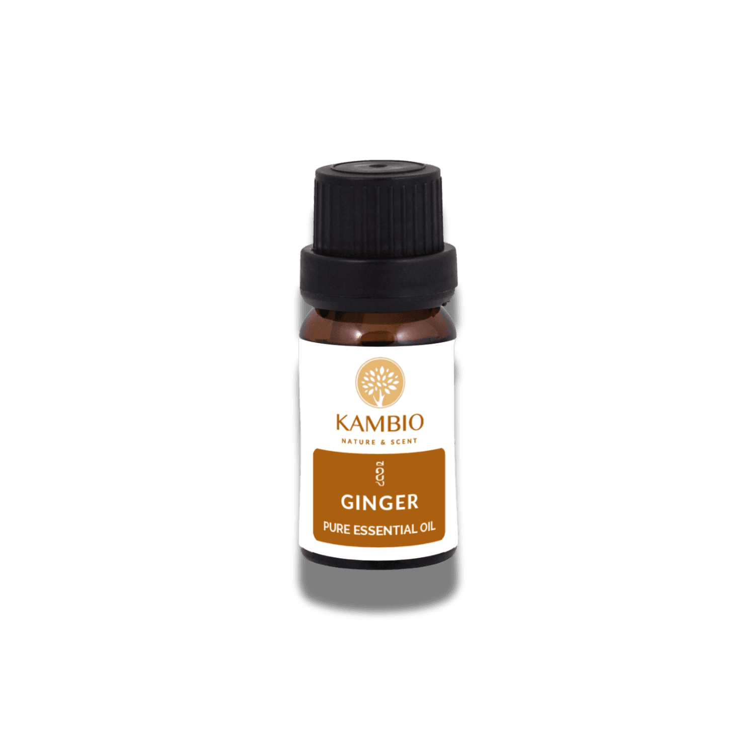 Ginger Essential Oil