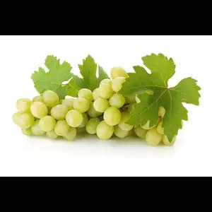 Green Grape Big Japan - Rithy 1 Supply