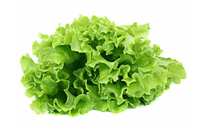 Khmer Lettuce