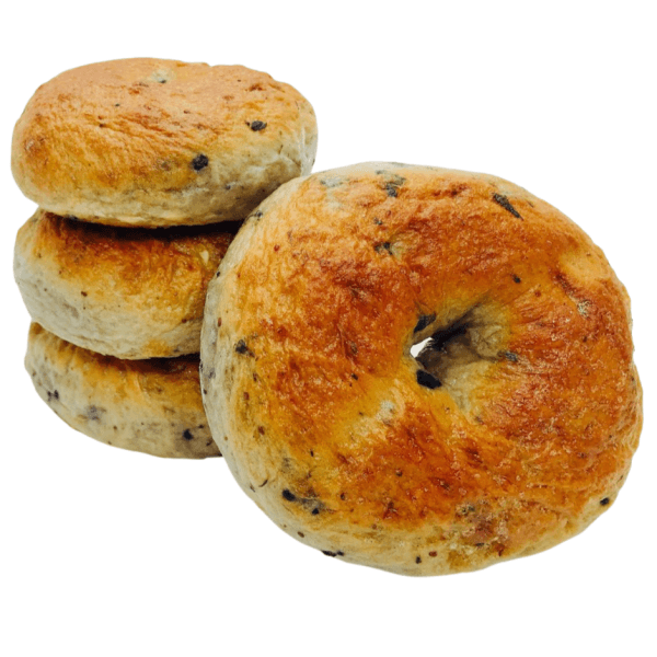 Blueberry Bagel