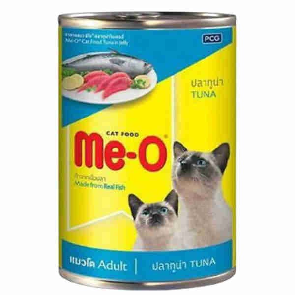 Adult Tuna