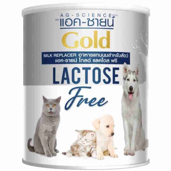 Gold Lactose Free
