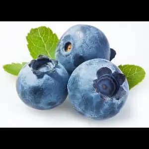 Blueberry - Rithy 1 Supply
