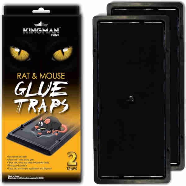 Rat & Mouse Glue Traps - Kingman