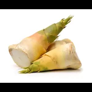 Bamboo Shoot - Rithy 1 Supply